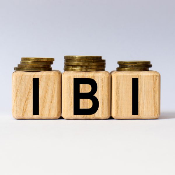 Qué es el IBI