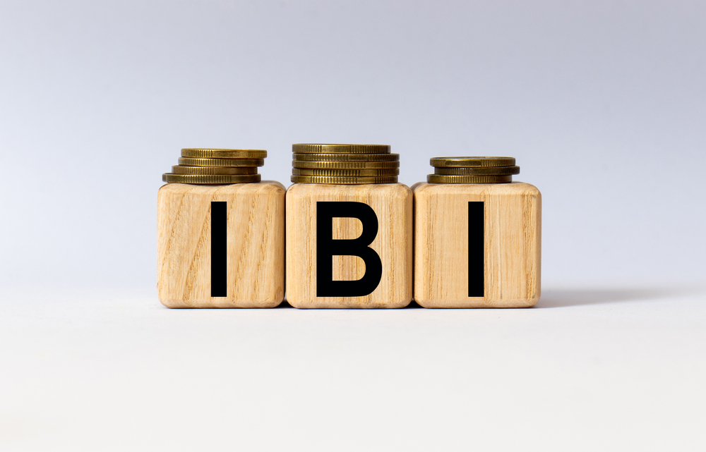 Qué es el IBI