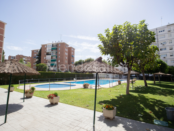 Piscina comunitaria y jardines de la urbanización en calle Desarrollo, Móstoles