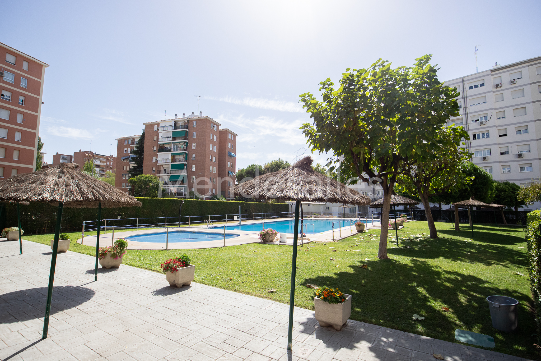 Piscina comunitaria y jardines de la urbanización en calle Desarrollo, Móstoles
