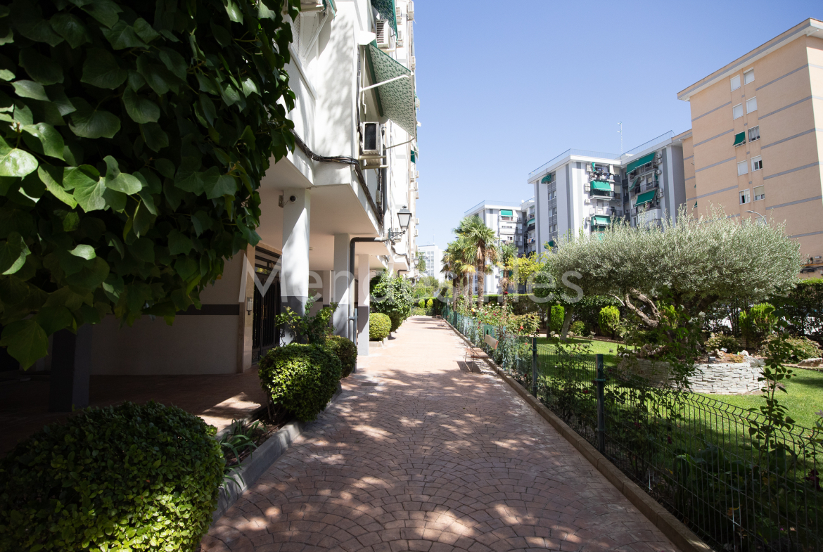 Jardines y camino interior de la urbanización