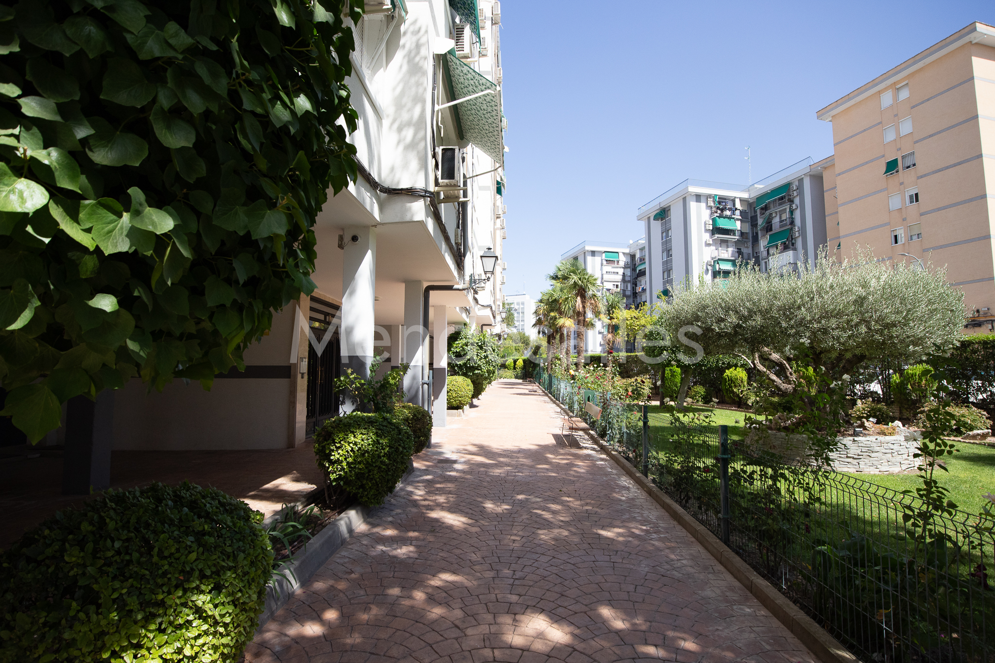 Jardines y camino interior de la urbanización